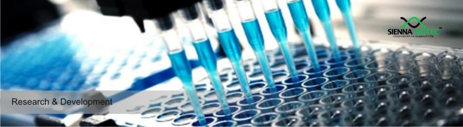 Sienna Biotec API (Active Pharmaceutical Ingredients)
