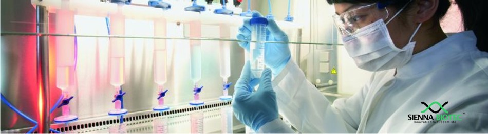 Sienna Biotec API (Active Pharmaceutical Ingredients)