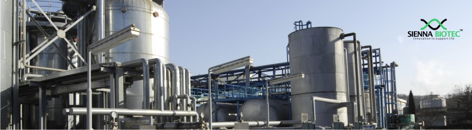 Sienna Biotec API (Active Pharmaceutical Ingredients)