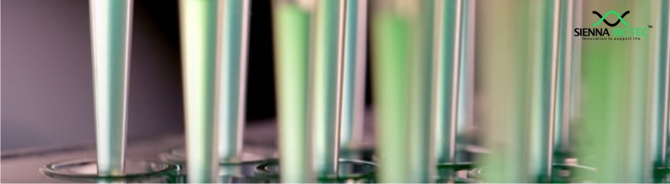 Sienna Biotec API (Active Pharmaceutical Ingredients)